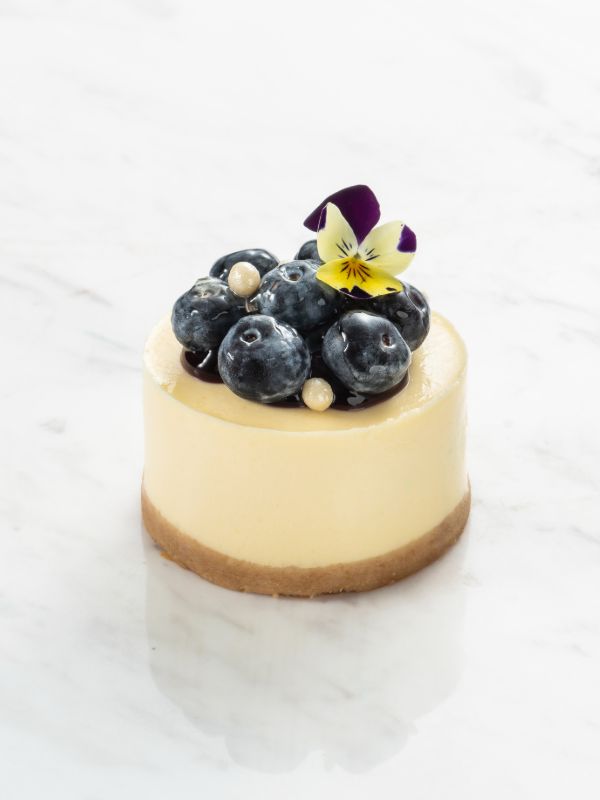 Blueberry Cheesecake